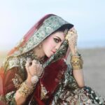 pexels-ary-shutter-264696-805367